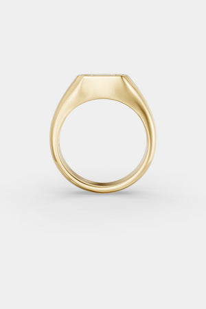 Insignia Emerald Diamond Ring | 18K Yellow Gold | Natasha Schweitzer